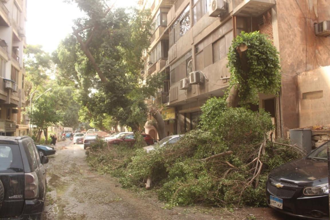 رفع 65 شجرة سقطت بطرق الجيزة لسوء الطقس (2)