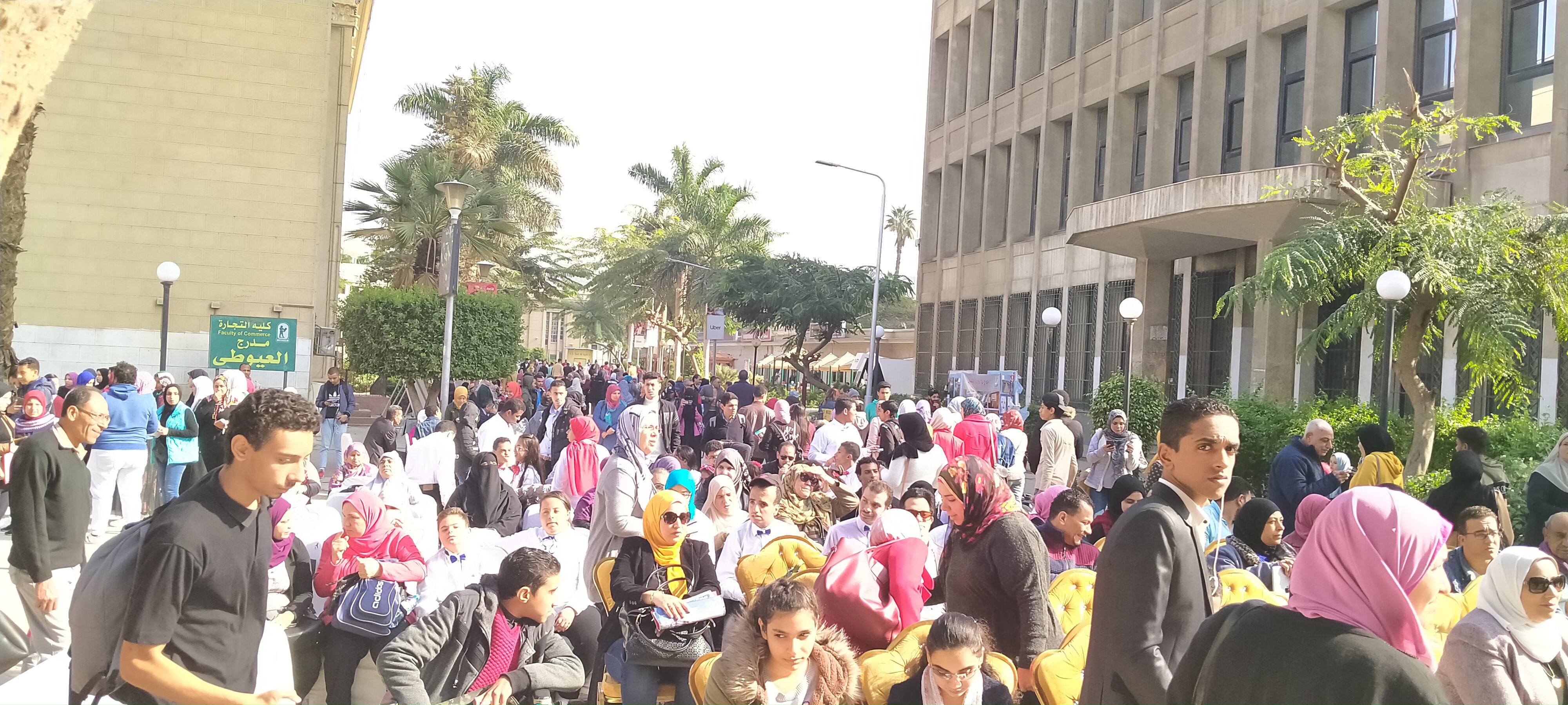 عروض كاراتيه باحتفالية اليوم العالمى  لذوى الإعاقة بجامعة القاهرة  (5)