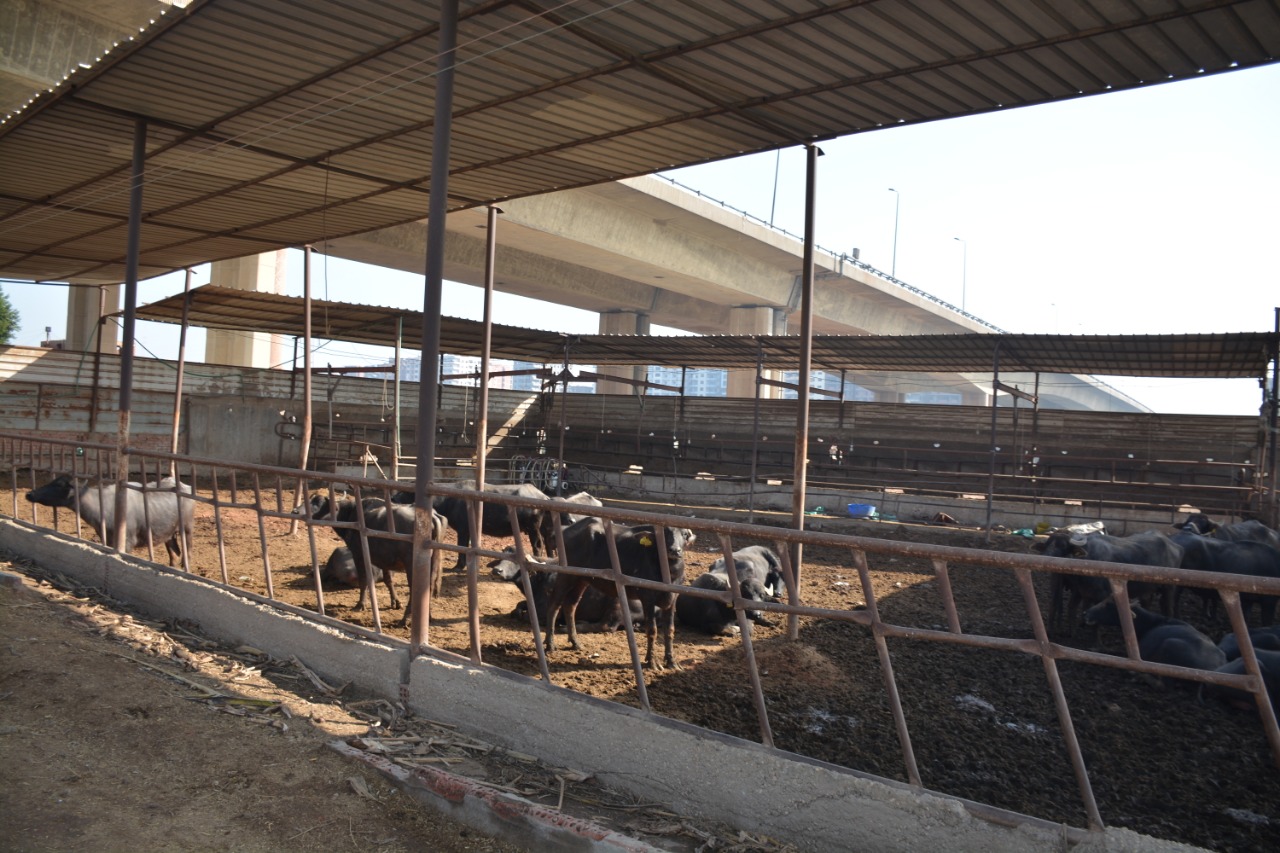 جولة محافظ القليوبية على مدن المحافظة (10)