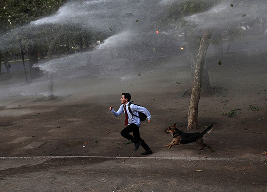 الكلاب تطارد المتظاهرين فى تشيلى