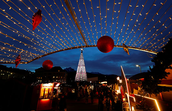 النمسا تتزين بأشجار عيد الميلاد
