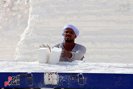 عمال تحميل الطوب الأبيض بالمنيا (11)