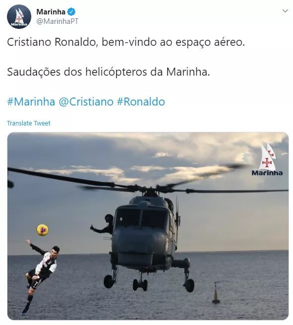 تغريدة البحرية البرتغالية