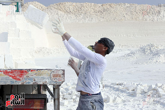 عمال تحميل الطوب الأبيض بالمنيا (10)