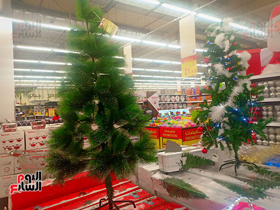 اشجار الكريسماس داخل المحلات