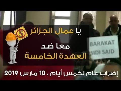 2- إضراب الجزائر