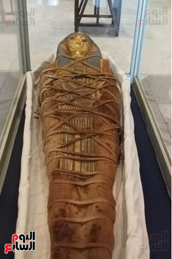 إحدى القطع المقرر عرضها بمتحف شرم الشيخ (2)