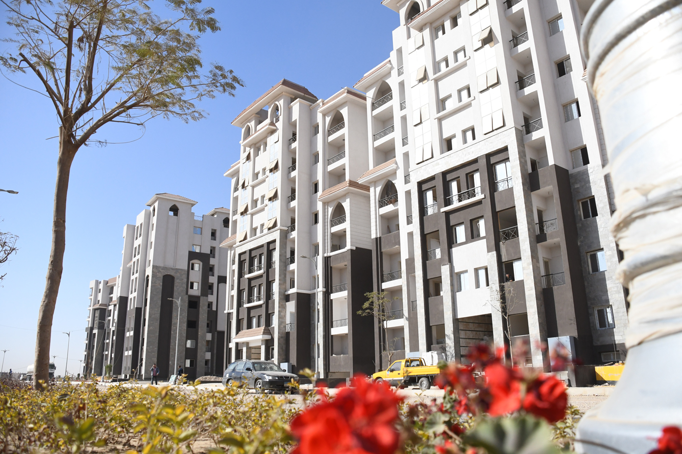 اللاند سكيب بالحى السكنى يعد من أفضل التصميمات التى يتم تنفيذها لأول مرة داخل مصر