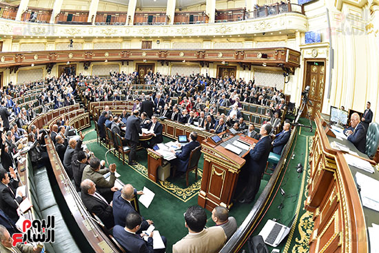 مجلس النواب (19)