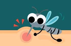 الملاريا المسببة للوفاة