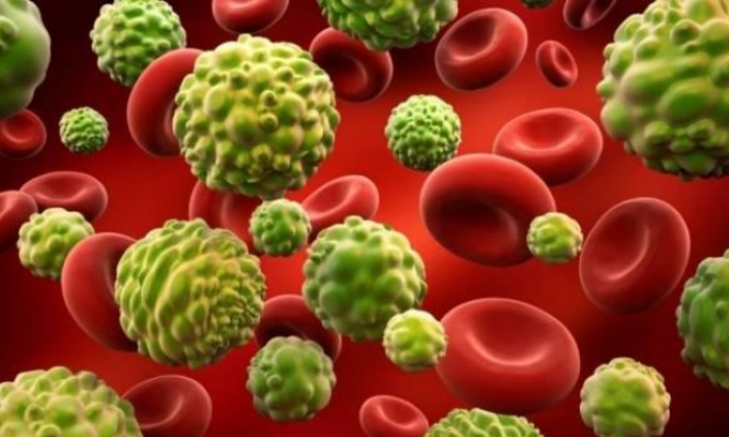 الملاريا تهاجم كرات الدم الحمراء