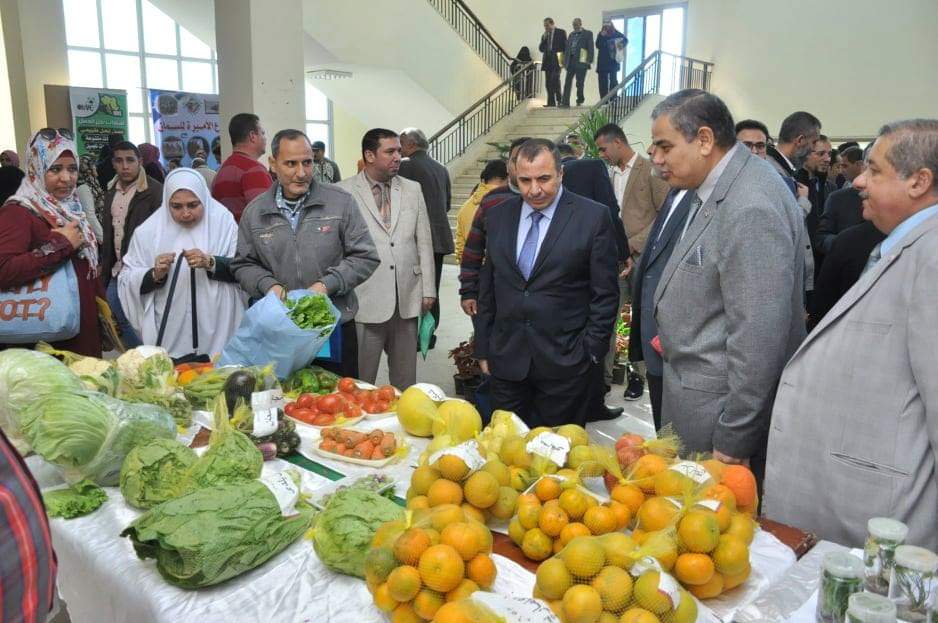 احتفالات زراعة كفر الشيخ (4)