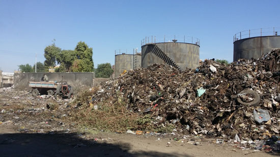 مقلب-القمامة-بمدينة-كوم-أمبو-(4)