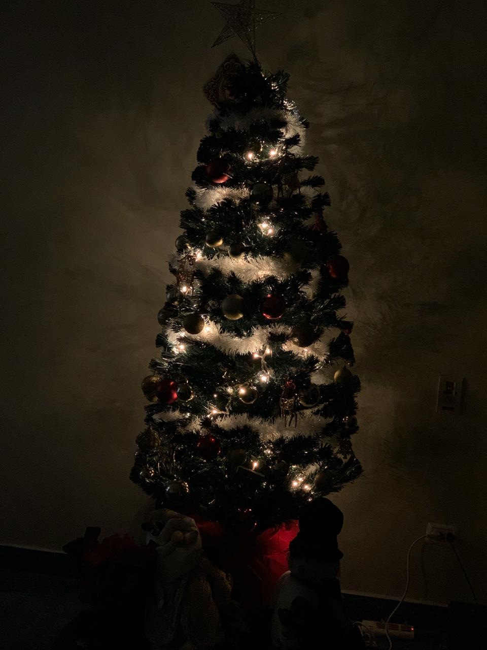 شجرة  عيد الميلاد  (3)
