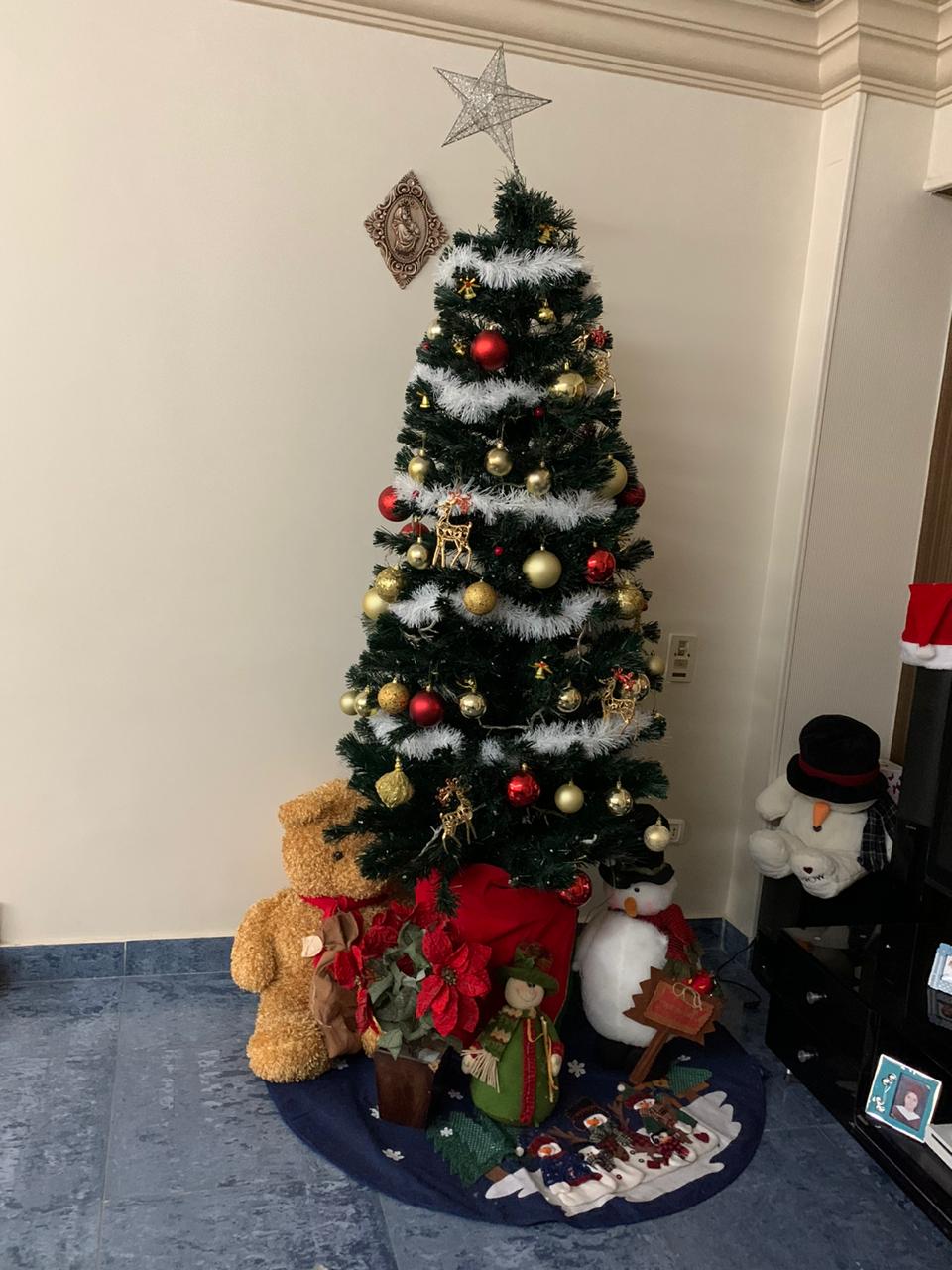 شجرة  عيد الميلاد  (1)