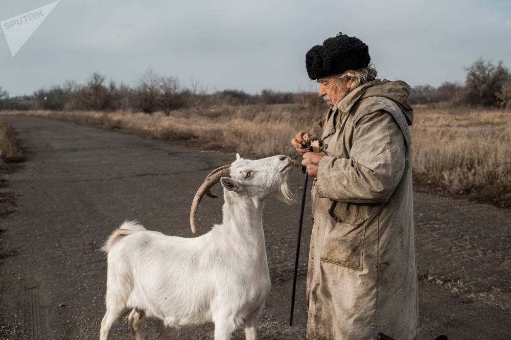 رجل مسن يطعم عنزة فى قرية دونيتسك بمنطقة لوجانسك الأوكرانية