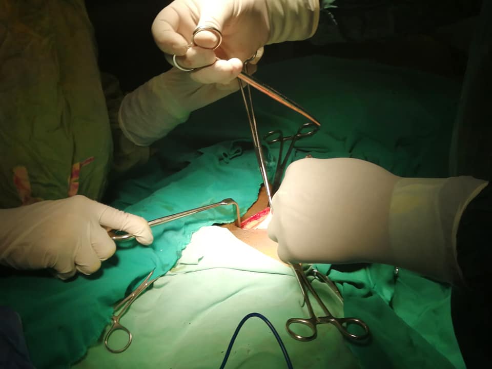 إجراء عمليات جراحية ضمن ورشة عمل في مستشفى العمار  (6)