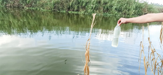  خطورة مياه بحيرة إدكو على الأسماك بسبب الصرف الصحى والصناعى (1)