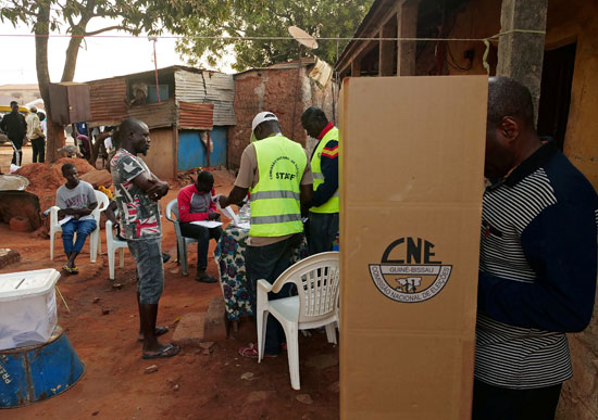 التصويت فى انتخابات غينيا