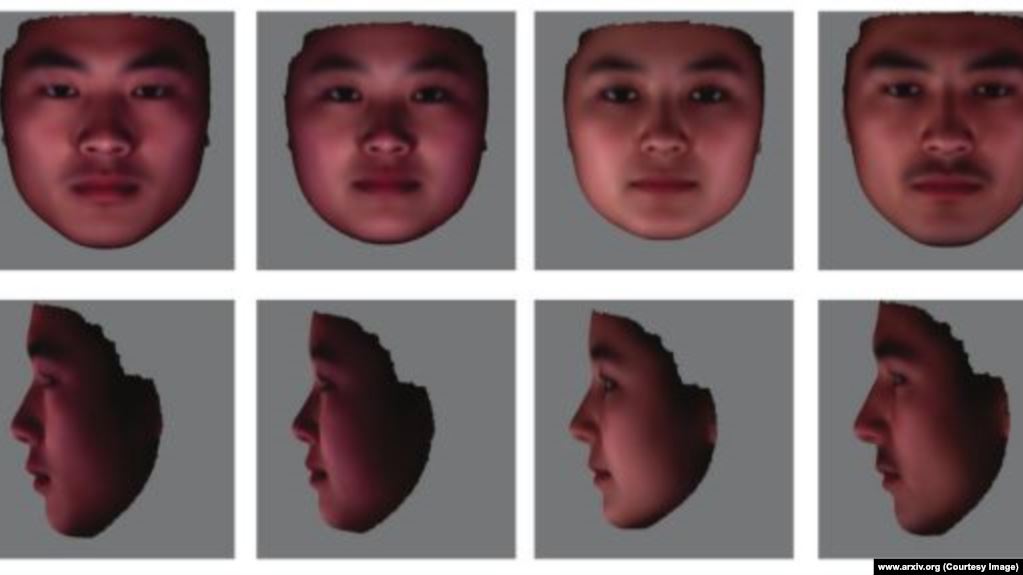 صورة من بحث علمي تظهر كيفية تشكيل وجه ذكر وأنثى اعتمادا على الحمض النووي