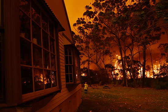 النيران تلتهم الغابات فى استراليا