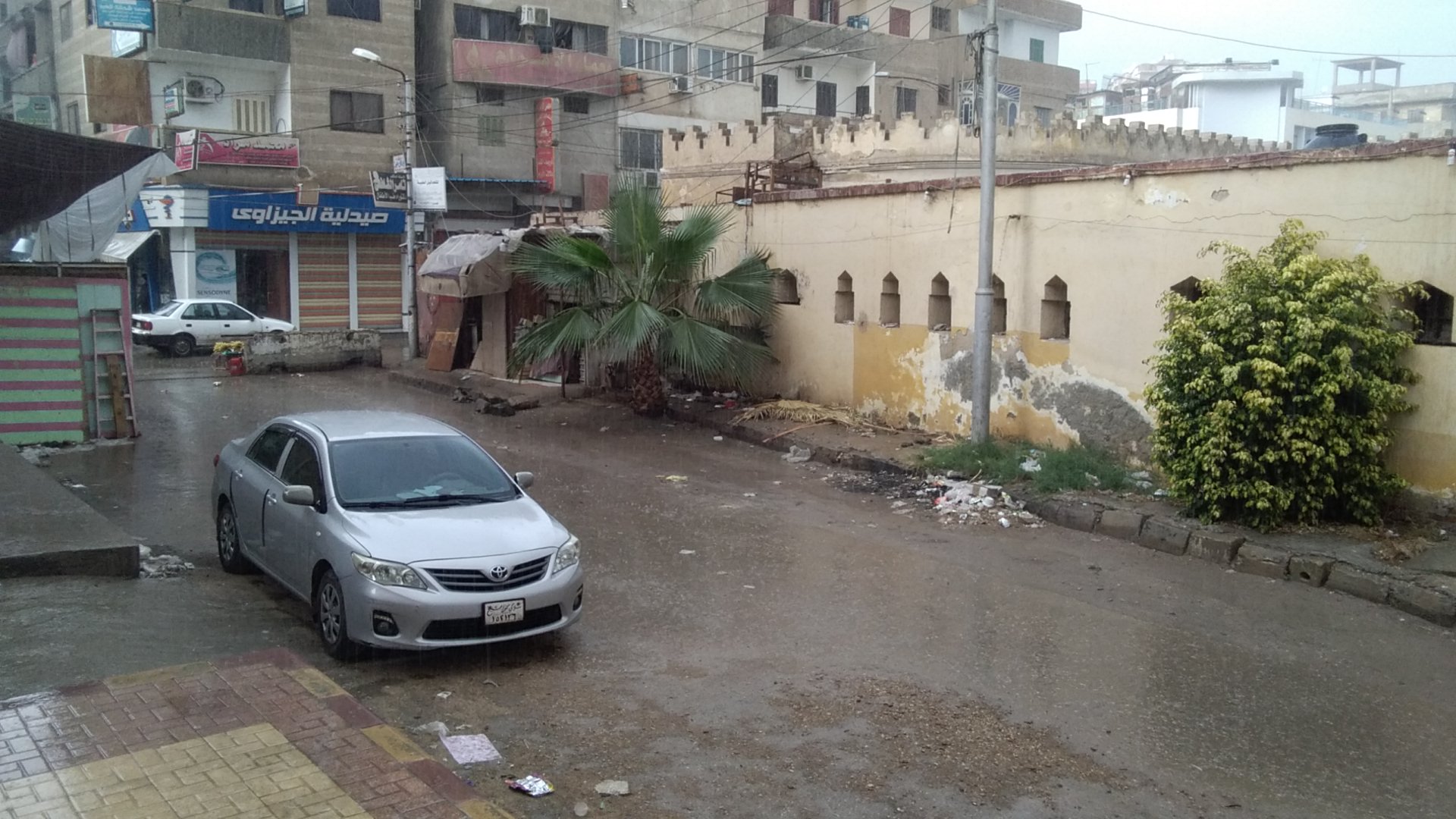 امطار متوسطة على عدد من مدن كفر الشيخ  (3)