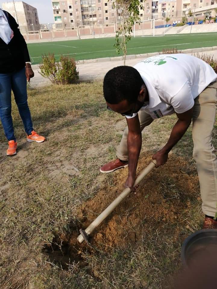 متطوعو الاتحاد الافريقى يزرعون 100 شجرة بمنتدى 15 مايو (27)