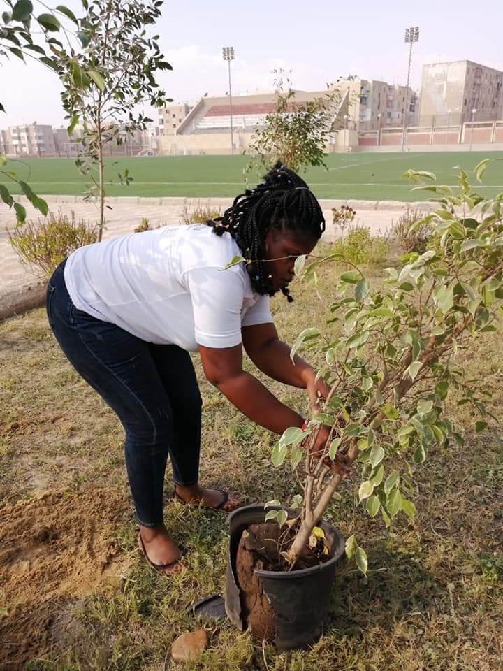 متطوعو الاتحاد الافريقى يزرعون 100 شجرة بمنتدى 15 مايو (26)