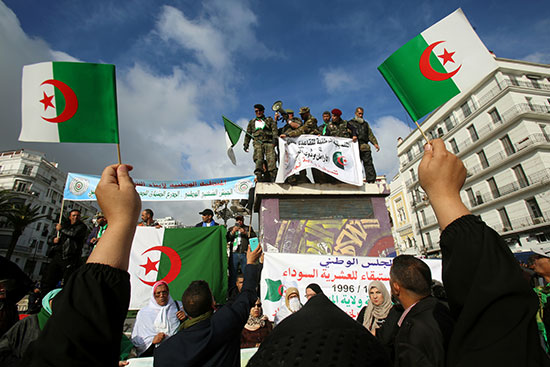 مؤيدو الإنتخابات الجزائرية