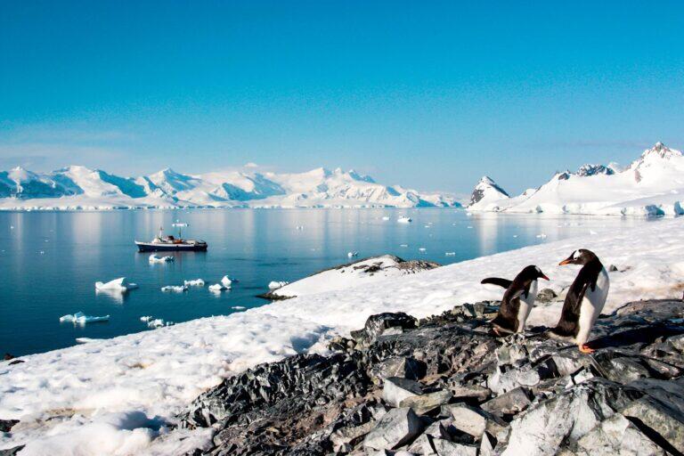 رحلة بحرية إلى القارة القطبية الجنوبية