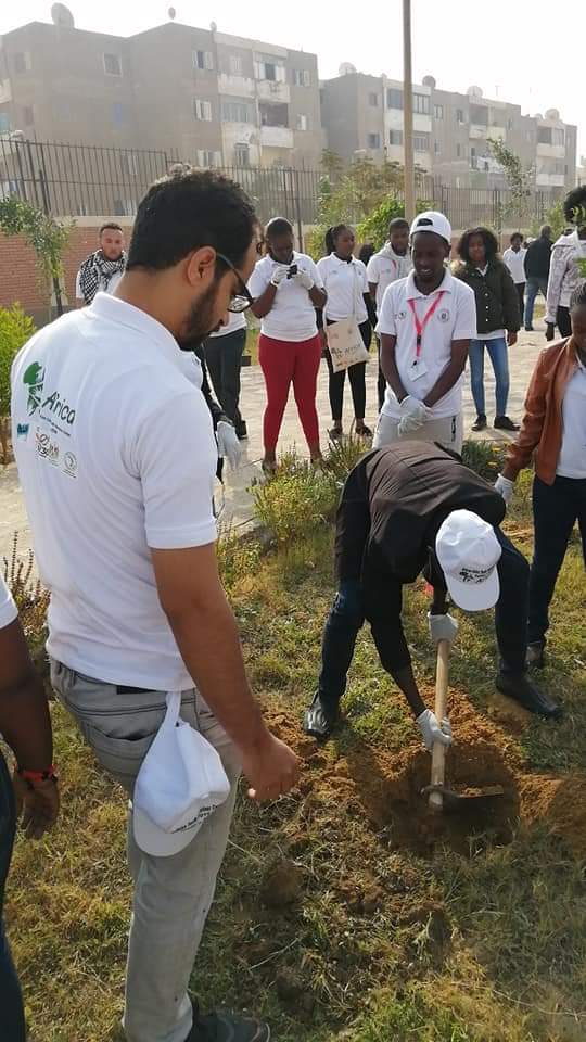 متطوعو الاتحاد الافريقى يزرعون 100 شجرة بمنتدى 15 مايو (5)