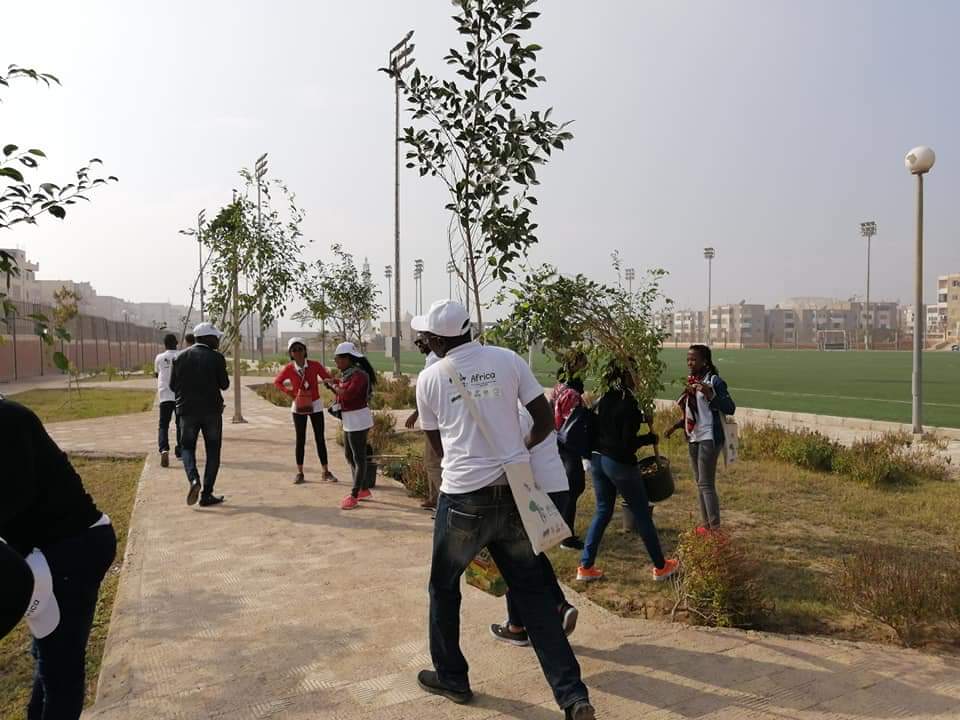 متطوعو الاتحاد الافريقى يزرعون 100 شجرة بمنتدى 15 مايو (16)