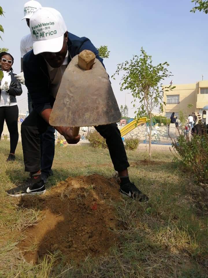 متطوعو الاتحاد الافريقى يزرعون 100 شجرة بمنتدى 15 مايو (1)