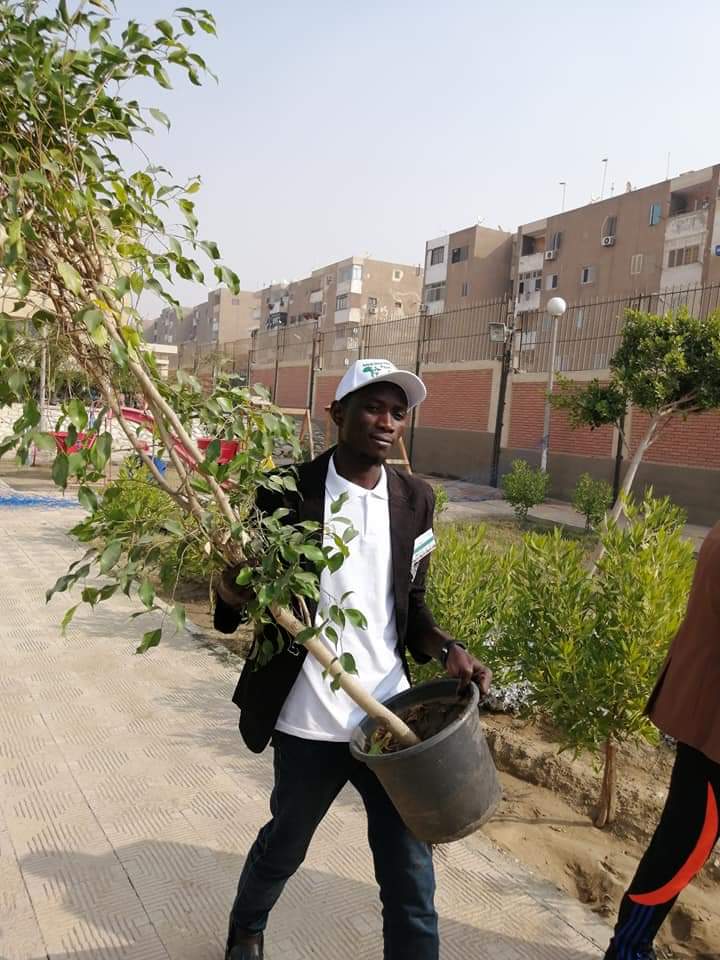 متطوعو الاتحاد الافريقى يزرعون 100 شجرة بمنتدى 15 مايو (25)