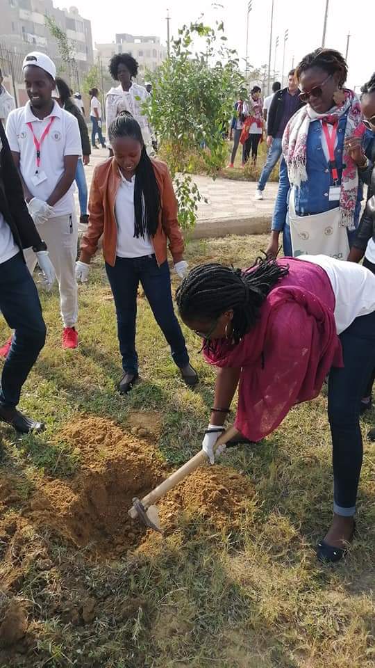 متطوعو الاتحاد الافريقى يزرعون 100 شجرة بمنتدى 15 مايو (13)