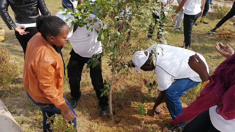 متطوعو الاتحاد الافريقى يزرعون 100 شجرة بمنتدى 15 مايو (15)