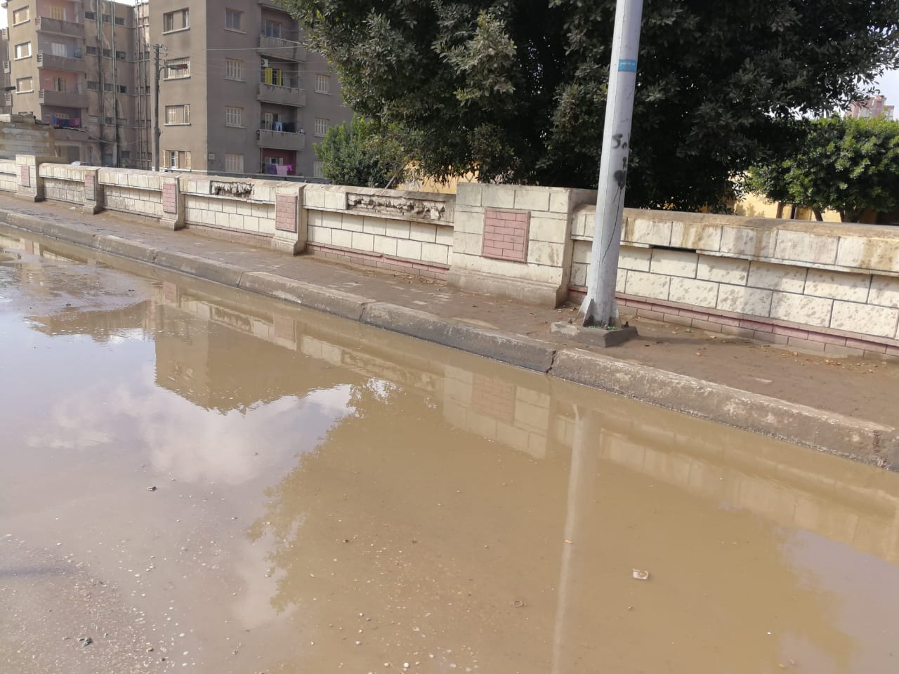 تجمع مياه الأمطار أسفل الكبارى وبشوارع الغربية (1)