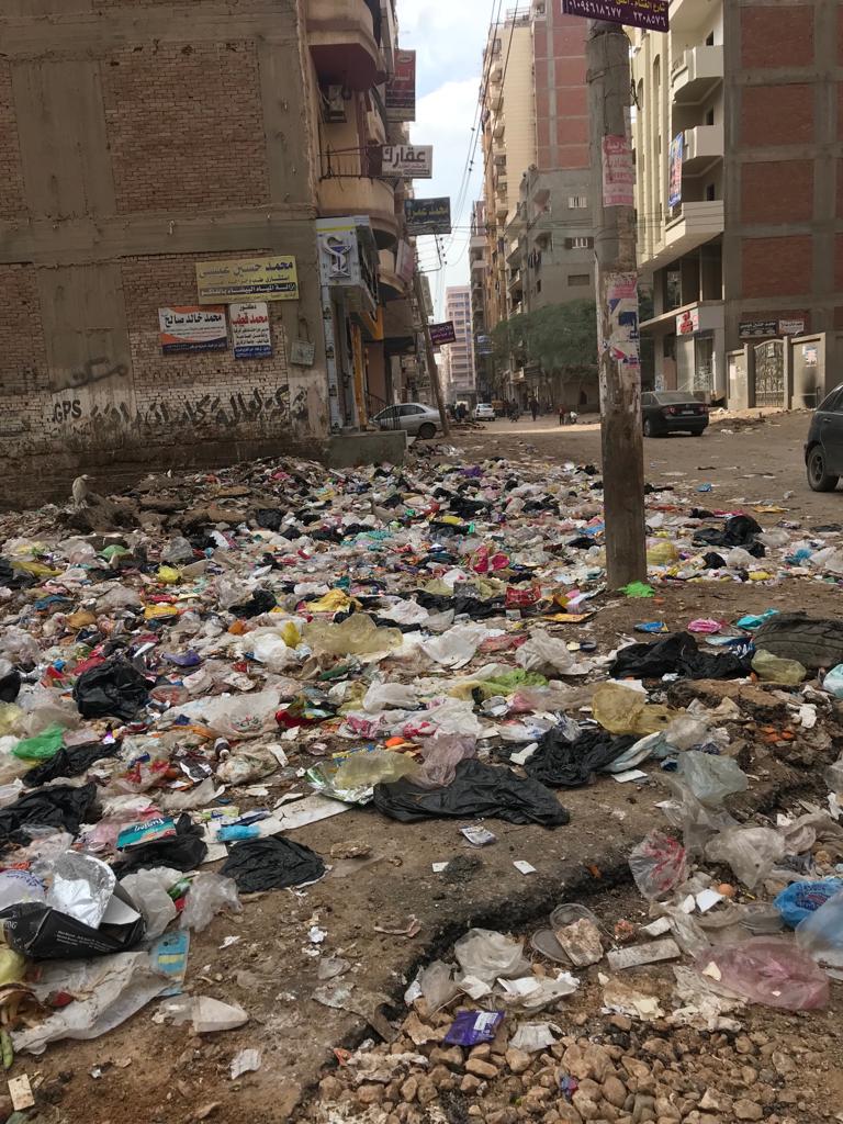 القمامة بشارع الغشام فى الشرقية