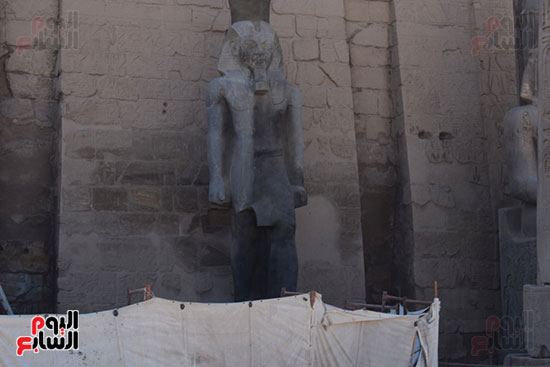 رجال-آثار-الأقصر-يبدعون-في-أعمال-جمع-وترميم-تمثال-الملك-رمسيس-الثاني-الجديد-بواجهة-معبد-الأقصر-(3)