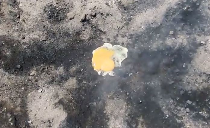 مزارعون يطهون البيض على الأرض بعد ارتفاع درجات الحرارة (2)