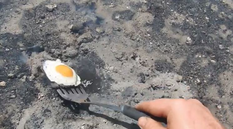 مزارعون يطهون البيض على الأرض بعد ارتفاع درجات الحرارة (4)