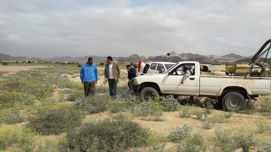 جولة الإدارة المركزية لمكافحة الآفات  (5)