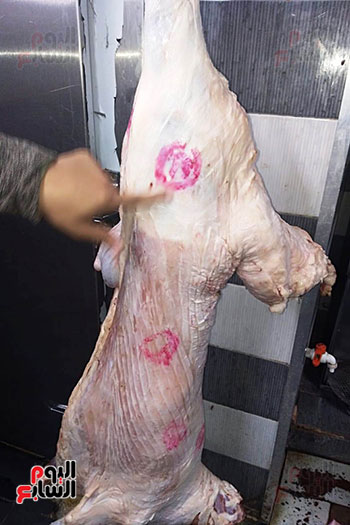 ضبط كميات من اللحوم غير صالحة للاستهلاك (5)