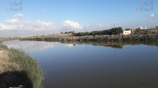 بحيرة-مريوط--(2)