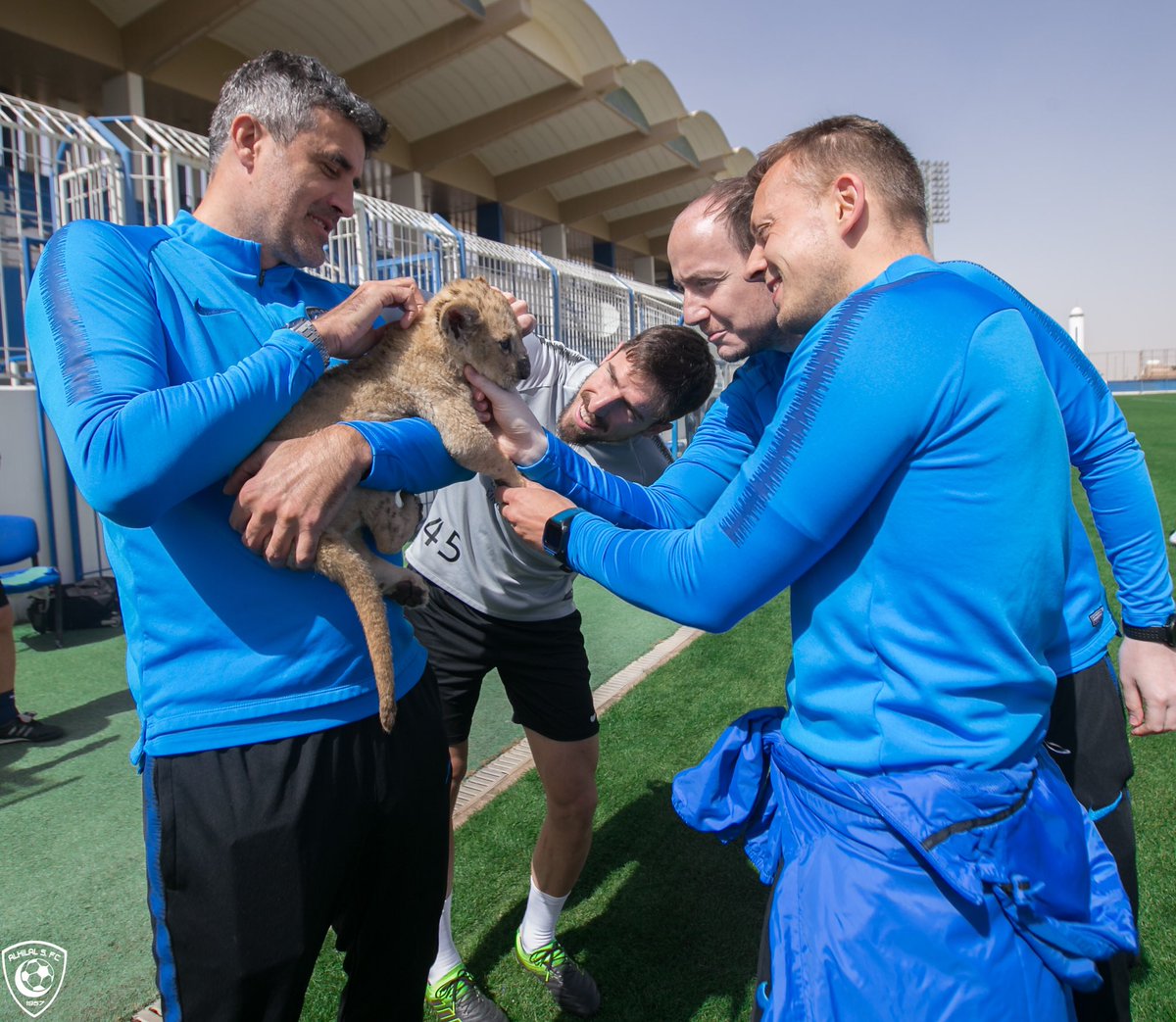 الهلال السعودي (6)