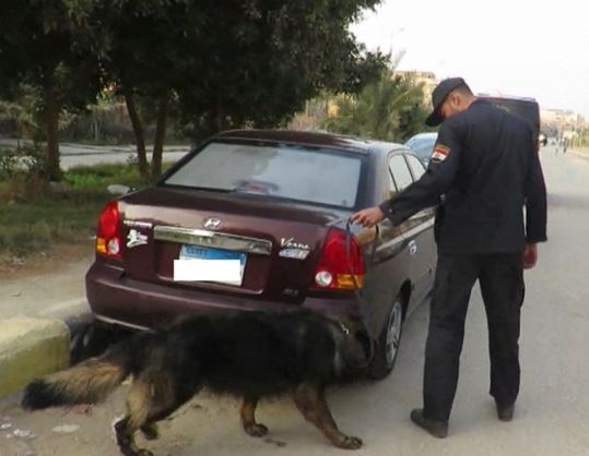 الكلاب البوليسية تمشط محيط الأندية