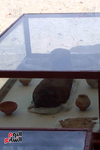 المومياوات المكتشفة بمقابر تونة الجبل فى المنيا (9)