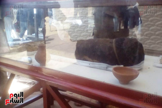 المومياوات المكتشفة بمقابر تونة الجبل فى المنيا (13)