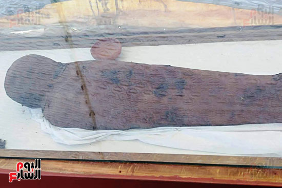 المومياوات المكتشفة بمقابر تونة الجبل فى المنيا (20)