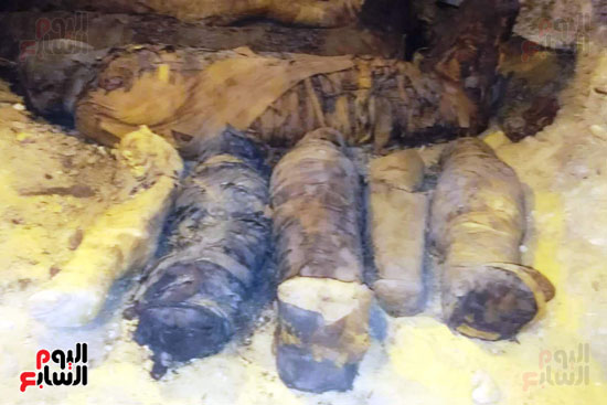 المومياوات المكتشفة بمقابر تونة الجبل فى المنيا (21)